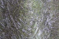 Atworth fibreglass roof work